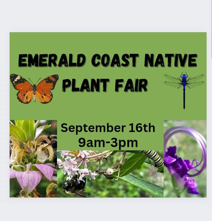 Home Choctawhatchee Bay Estuary Program